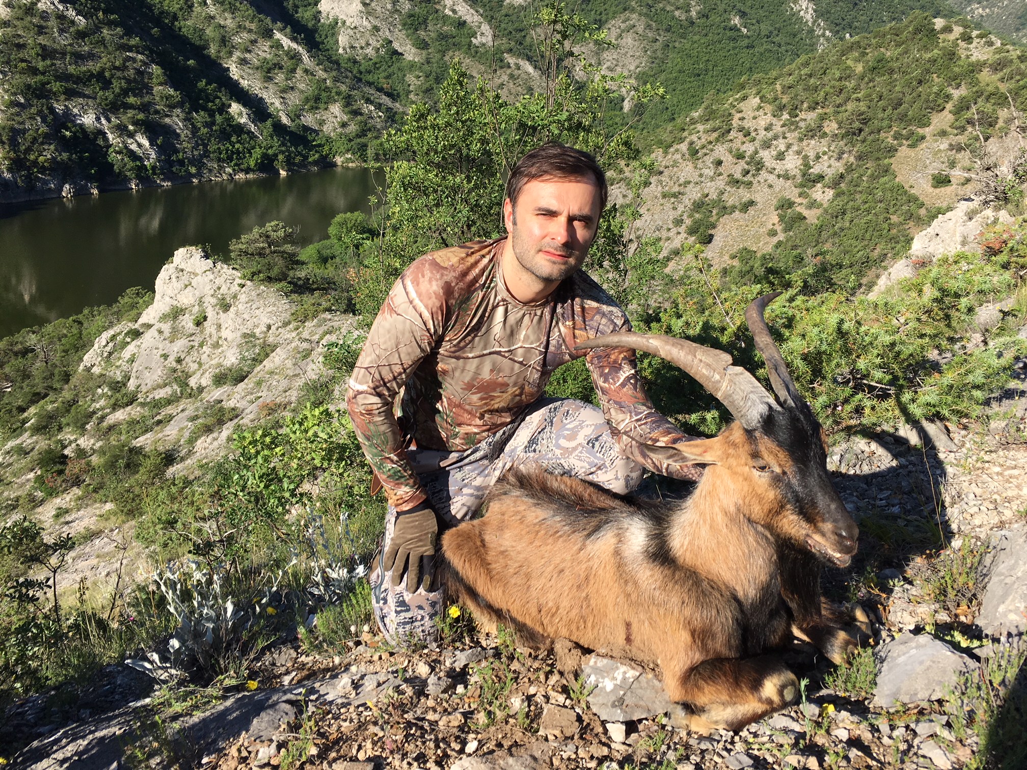 Chamois Hunting  Safari International Macedonia