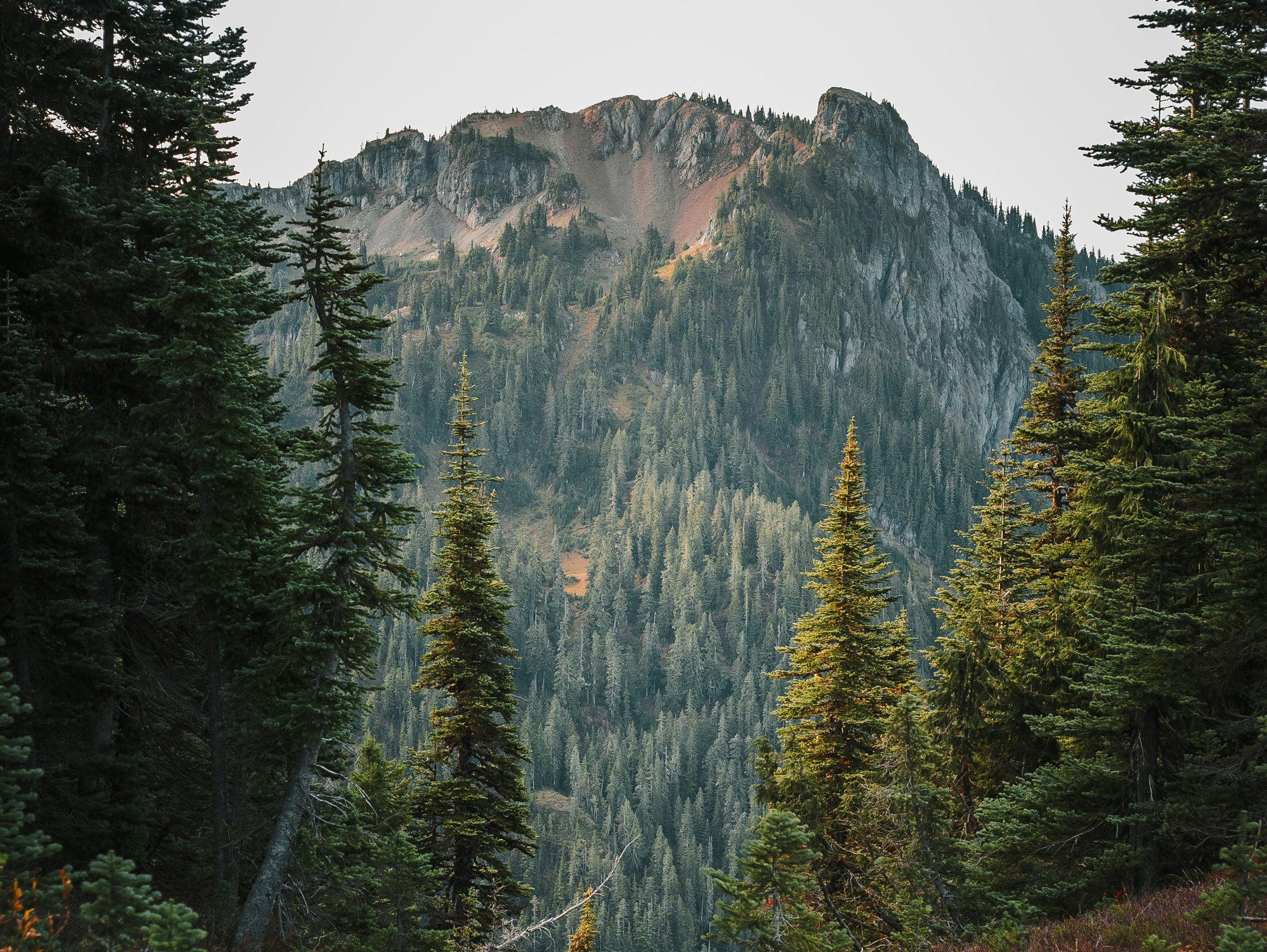 josh-hild-p_JC6EbNSck-unsplash josh-hild-p_JC6EbNSck-unsplash