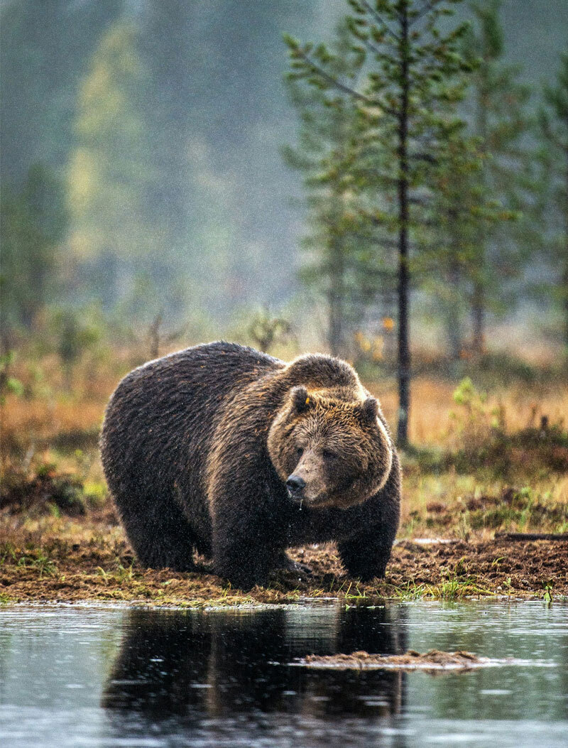 getty-images-OQ4fCHtatXs-unsplash