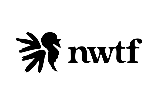 nwft-n