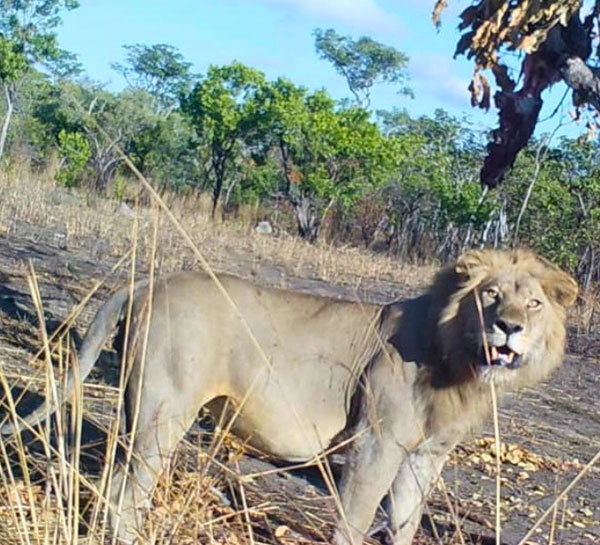 Tanzania-f-img v2